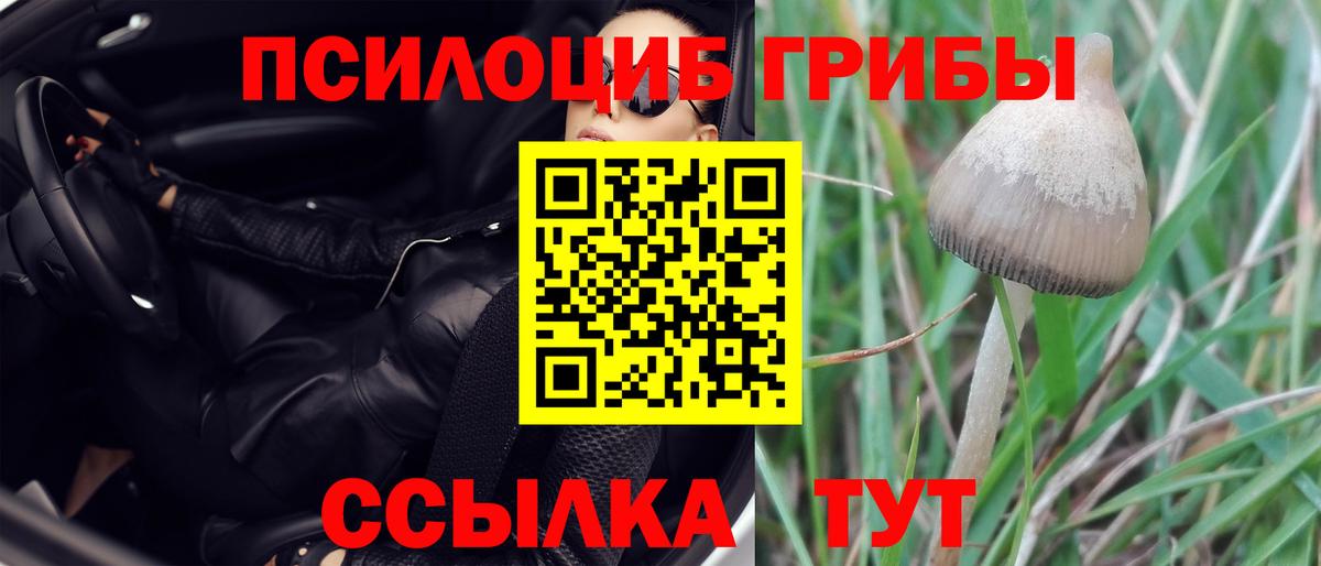 Крымск  Псилоцибиновые грибы прущие грибы  купить   Вход с VPN 